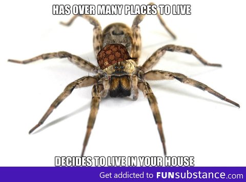 Scumbag Spider