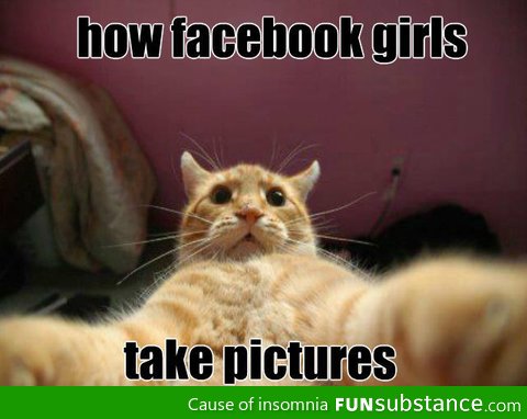 Facebook Cat