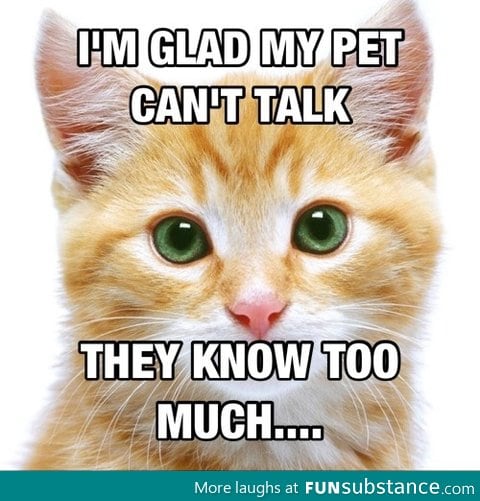 Pets don't talk