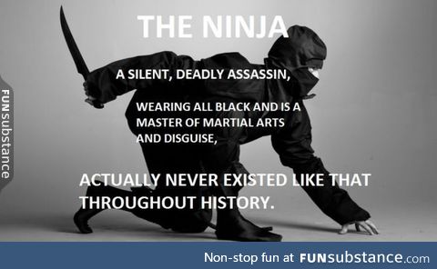 The ninja