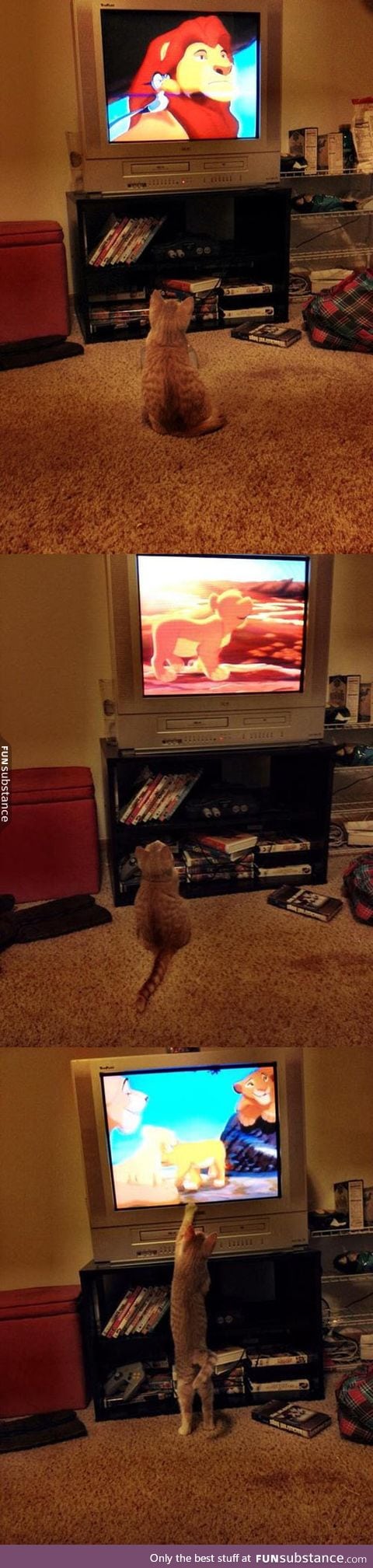 Watching the lion king