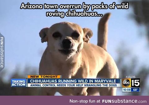 Arizona is doomed