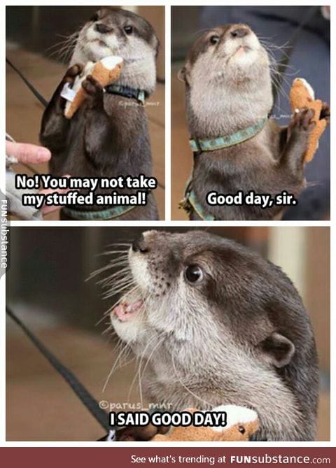 CAN YOU BELIEVE THIS OTTERf*ckER?