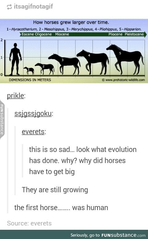 Aren't all horses human?