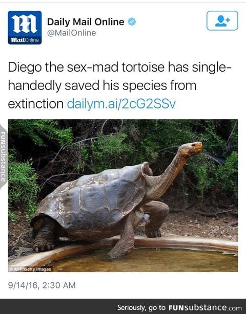 Good job Diego