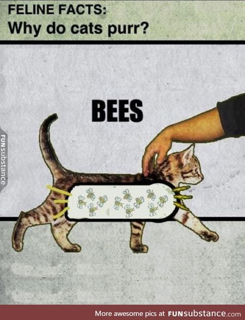 Proper scientific explanation