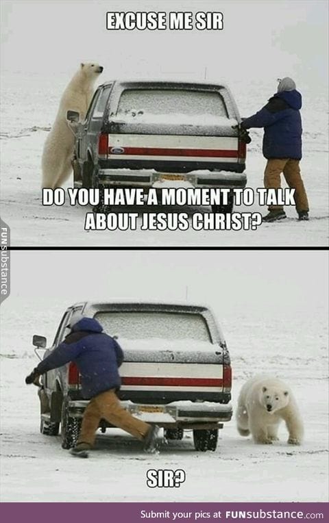 Dame Christian polar bears