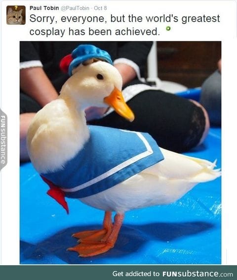 Cosplay