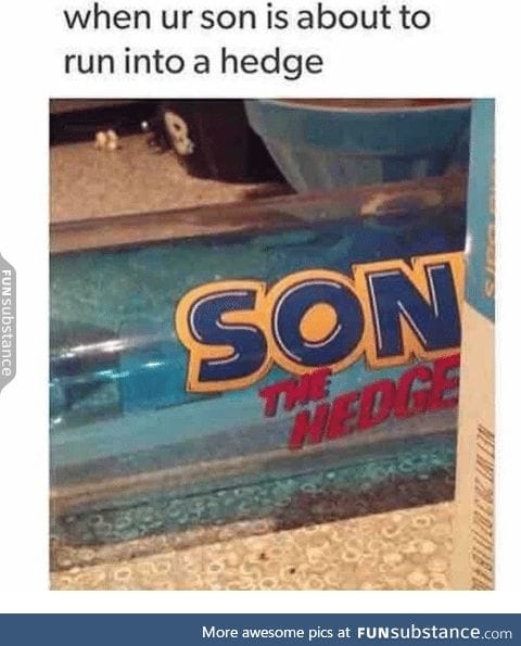 son the hedge