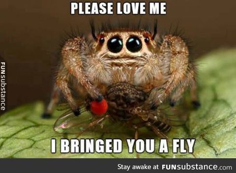 Spider bro just wants love