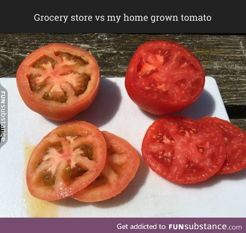 Cheap tomatoes