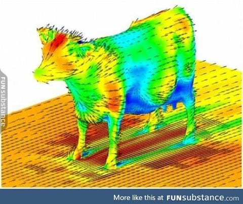 Aerodynamics of a cow