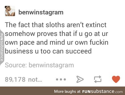 Sloths are alive and well