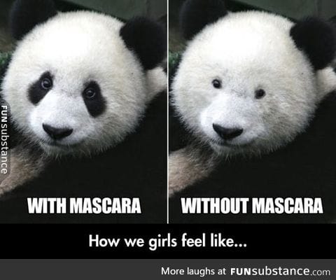The truth about mascara