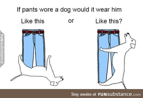 Anyone remember the dog pants meme?