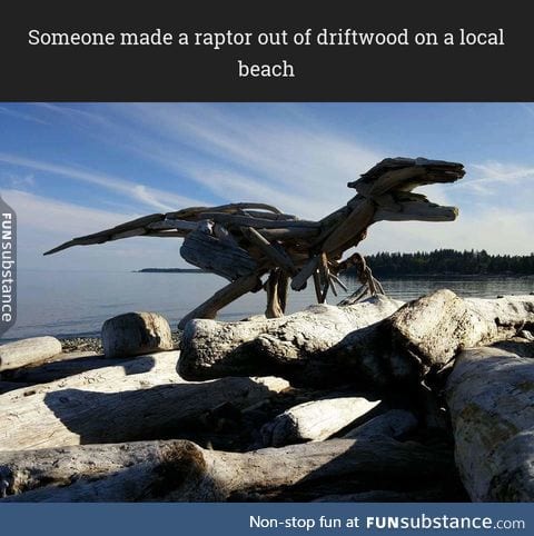 Someone made a raptor out of driftwood