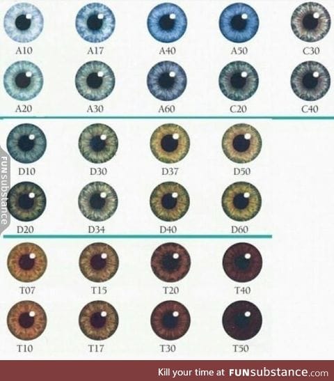 What's your eye color?