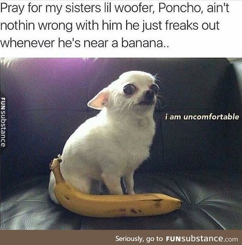 Fear of banana