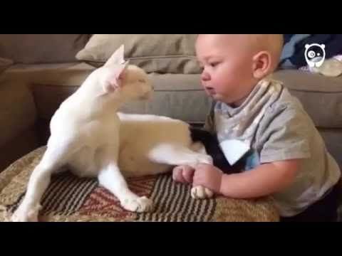 Cat & baby bonding