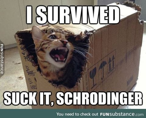 Schrodinger's Cat Final Results