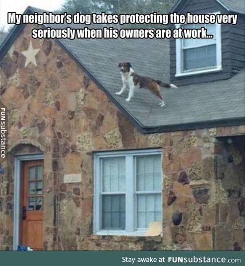 Extreme guard dog