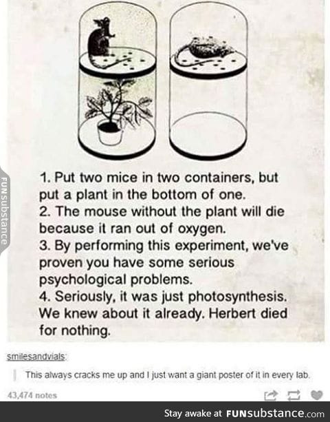 Science experiment