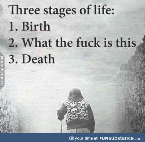 3 stages of life