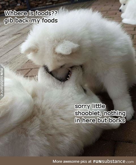 smol shoob wants his foods back