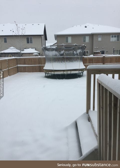 Curse this Alberta weather (this all fell today)