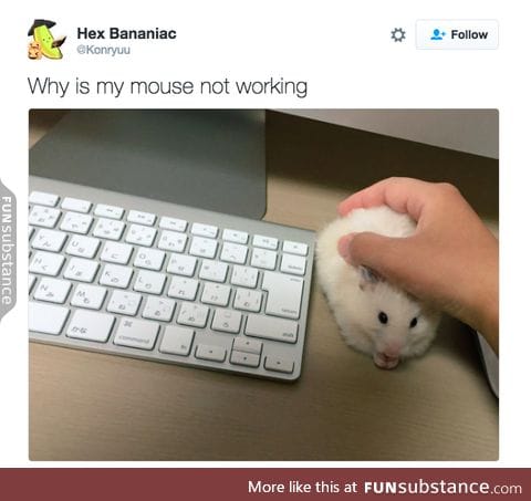 Turn it off, then back on