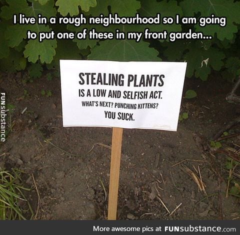 Sneaky plant thieves