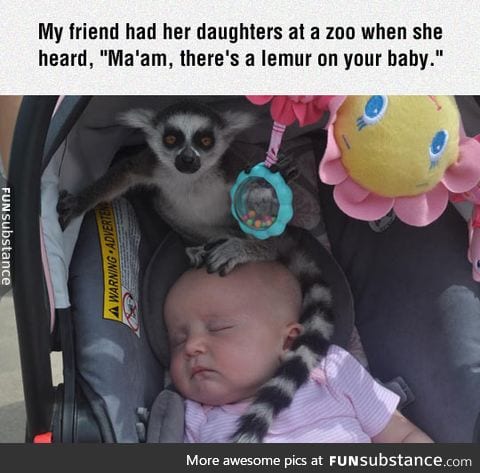 This baby made a friend at the zoo