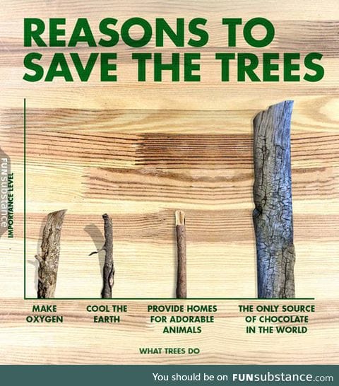 Some reasons to save the trees