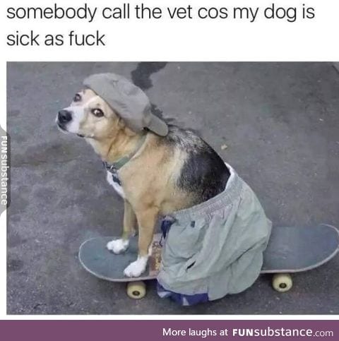 Help, somebody call the vet