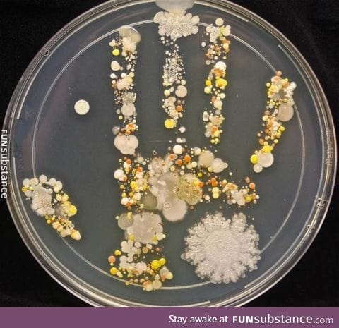 An 8-year-old's bacteria-filled handprint