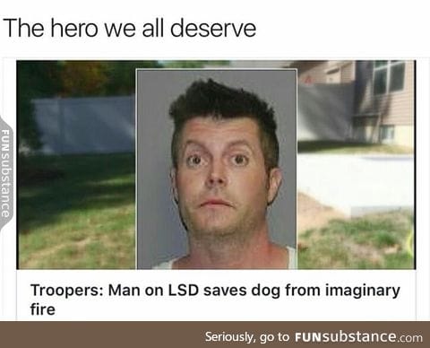 Dog's saviour