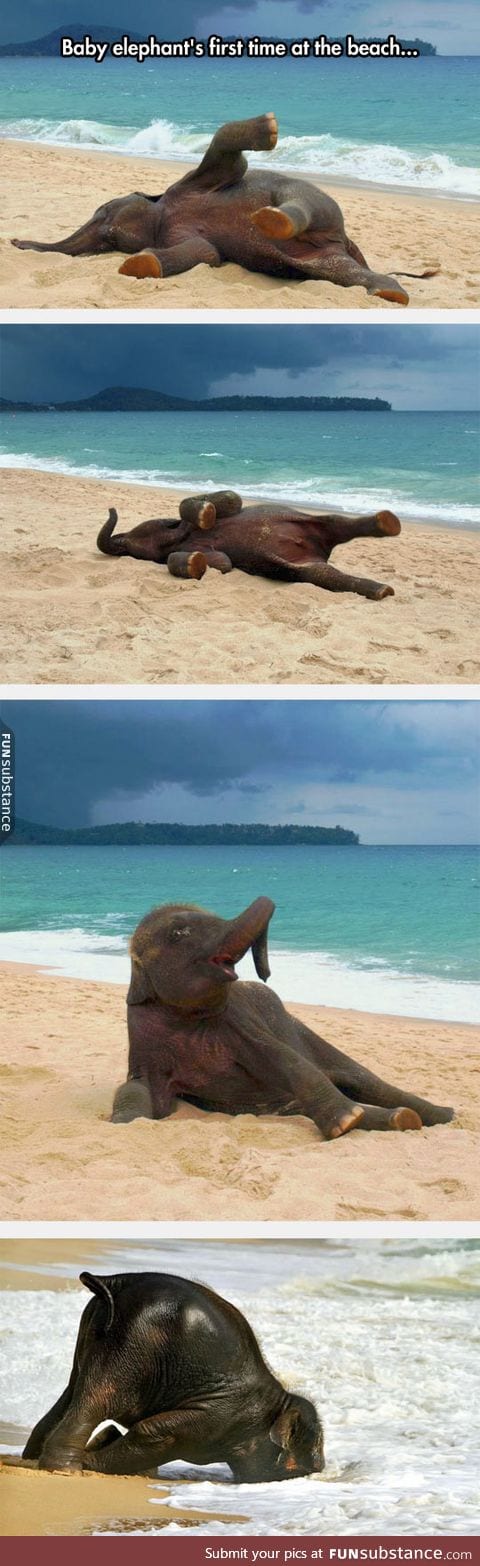 Little guy enjoying the sand