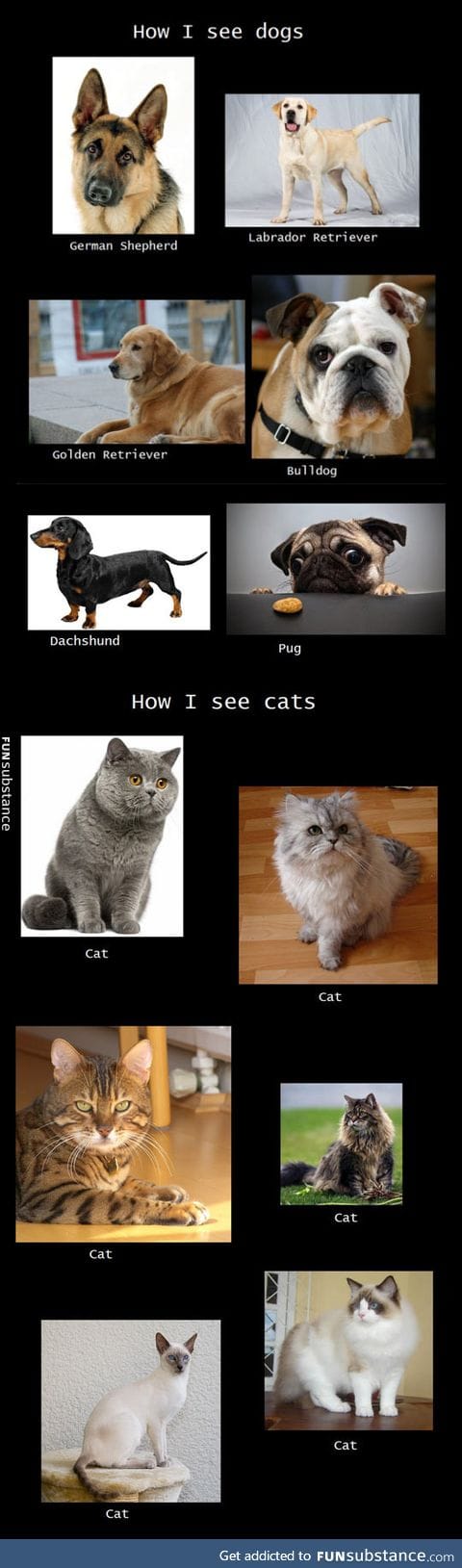 How I see pets