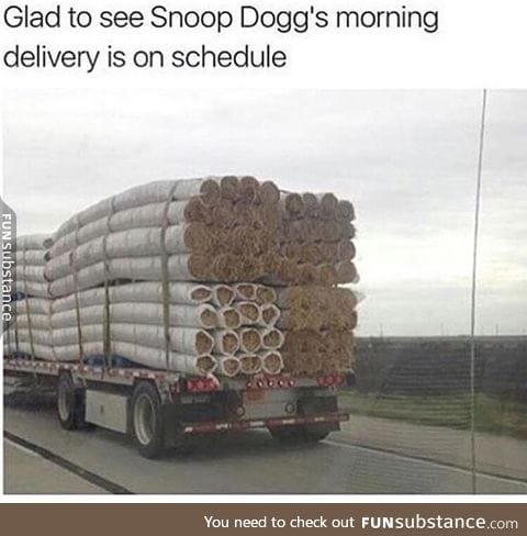 Snoop Dogg's delivery