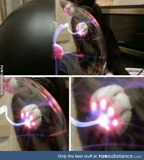 When a cat touches a plasma ball