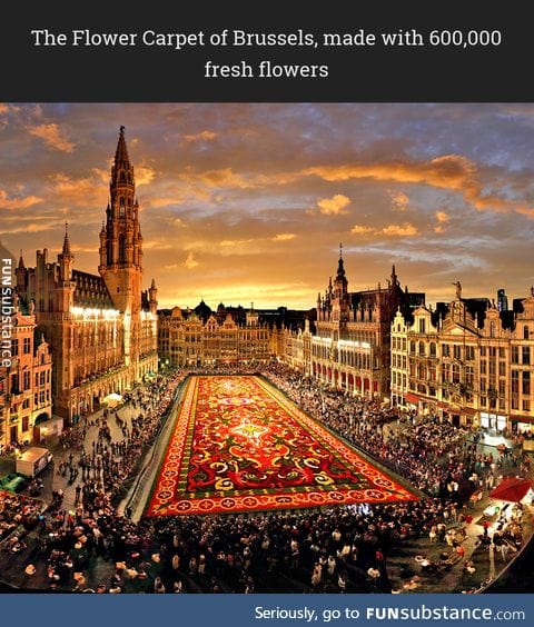 The Flower Carpet of Brussels, made with 600,000 fresh flowers