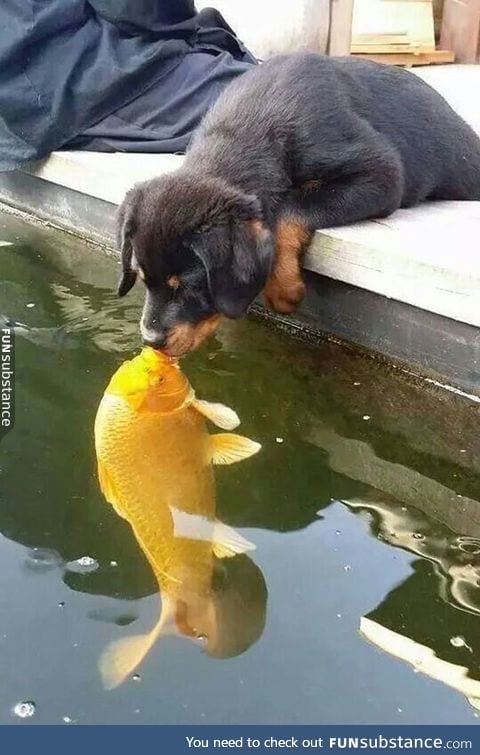 Unexpected kiss