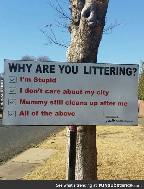 Reasons for littering