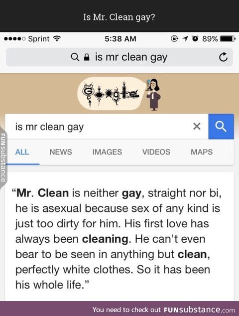 Is Mr. Clean gay?