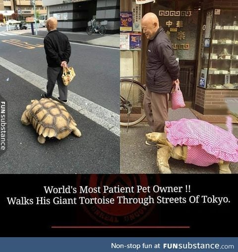 Definitely in Japan!