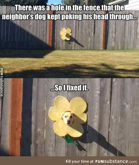 The best repair job ever