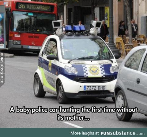 Newborn police car