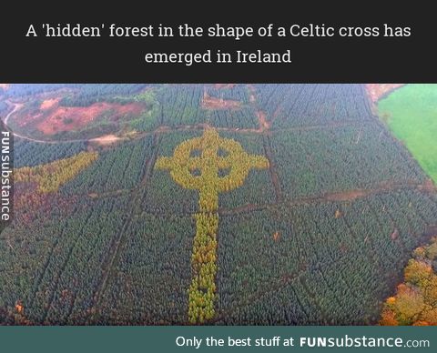 A Celtic cross has emerged in Ireland