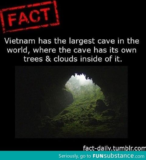 Largest cave in the world