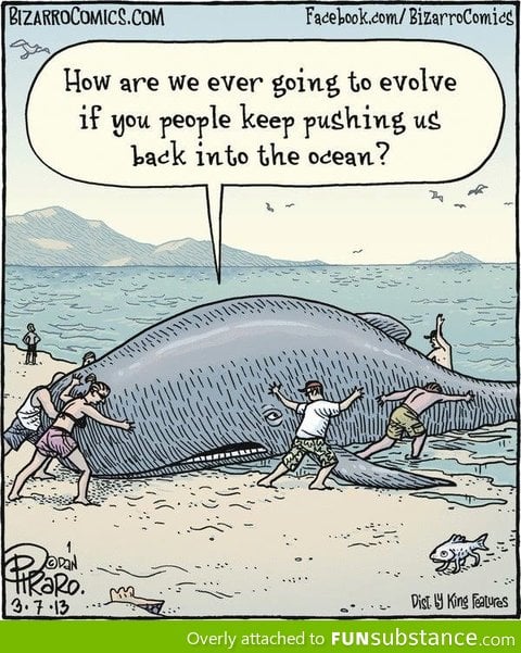 Evolution Comic